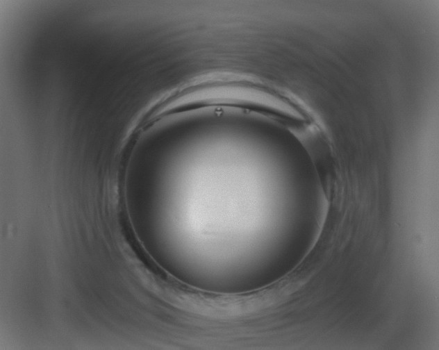 X0000082980015200702081820