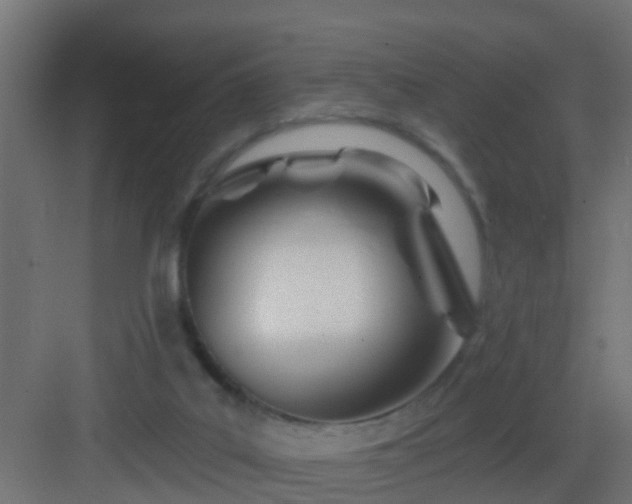 X0000082980019200702081820