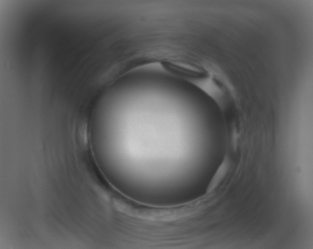 X0000082980021200702081820