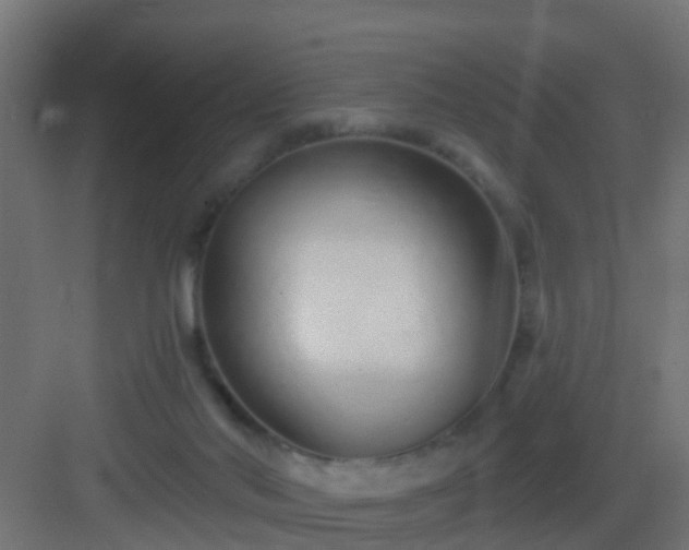 X0000082980022200702081820
