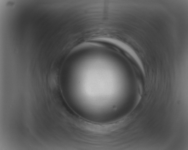 X0000082980035200702081820