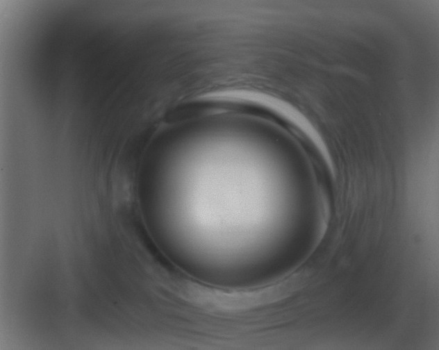 X0000082980039200702081820