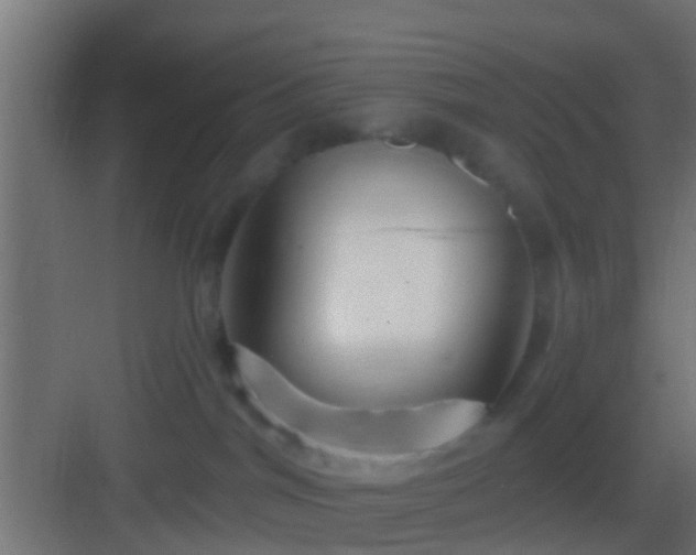 X0000082980044200702081820