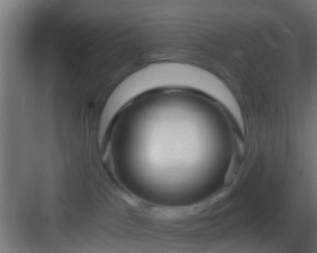 X0000082980045200702081819