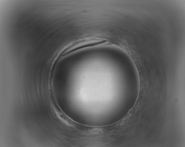 X0000082980050200702081819