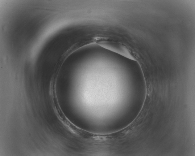 X0000082980052200702081819