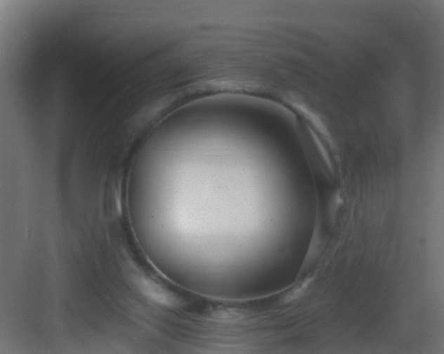 X0000082980062200702081819