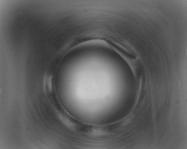 X0000082980070200702081819
