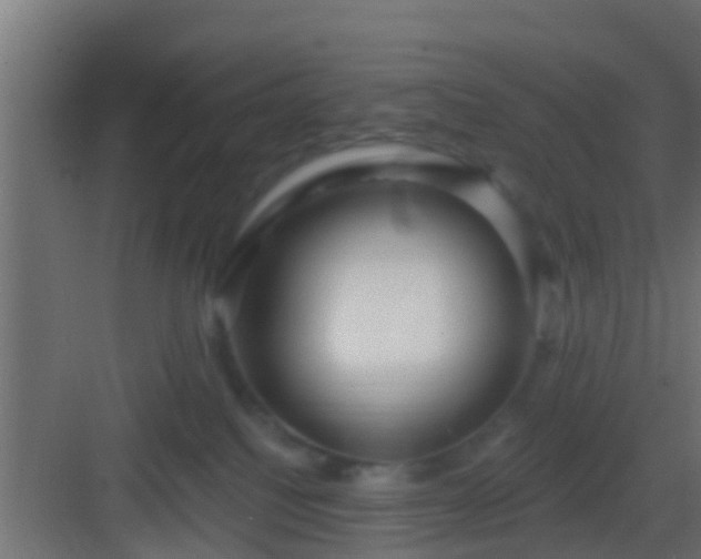 X0000082980088200702081819