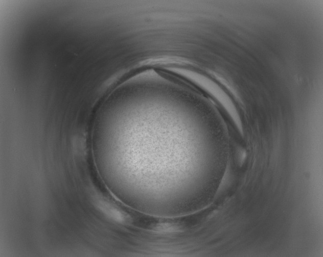 X0000082980111200702081818