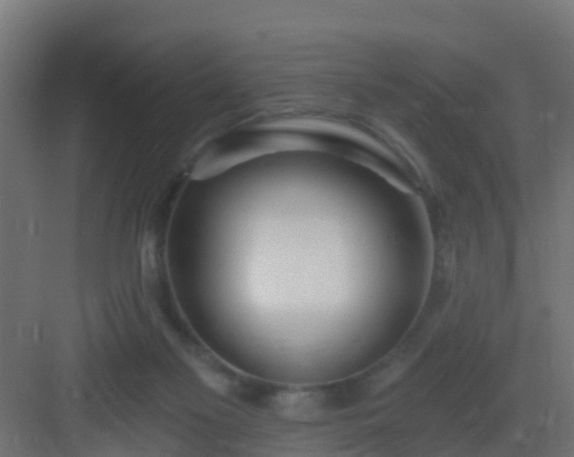 X0000082980117200702081818