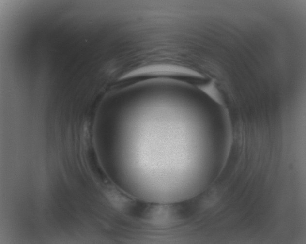 X0000082980127200702081818