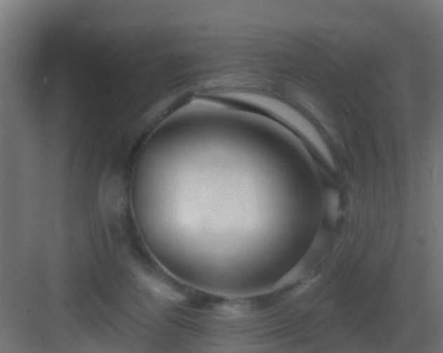 X0000082980164200702081817