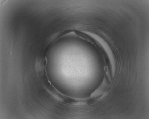 X0000082980168200702081817