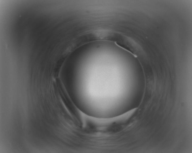 X0000082980221200702081817