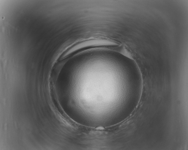 X0000082980242200702081815