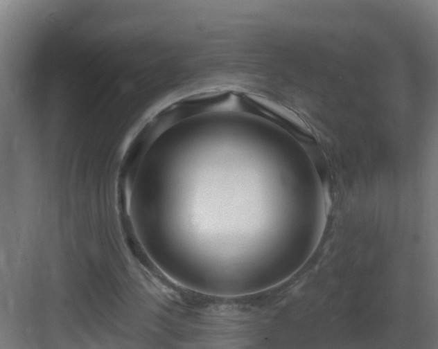 X0000082980244200702081815