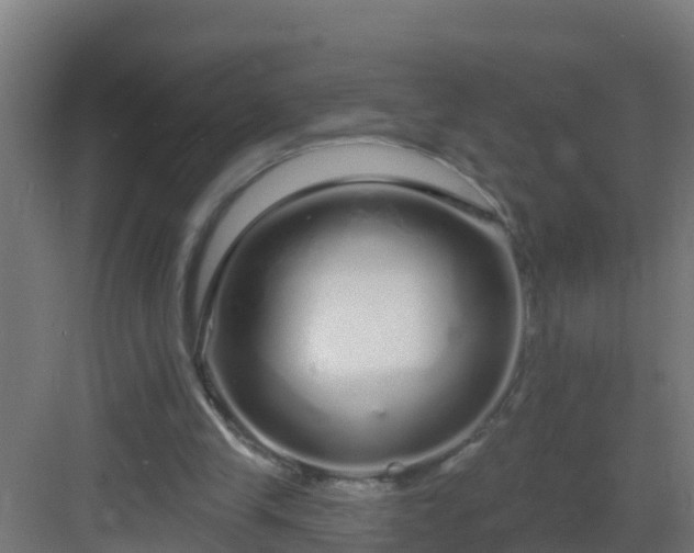 X0000082980245200702081815