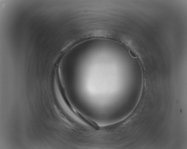 X0000082980249200702081816