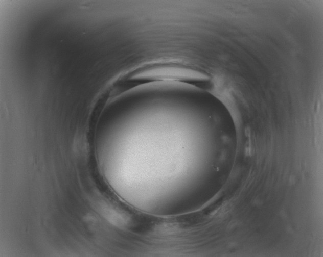 X0000082980252200702081816