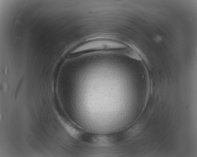 X0000082980253200702081816