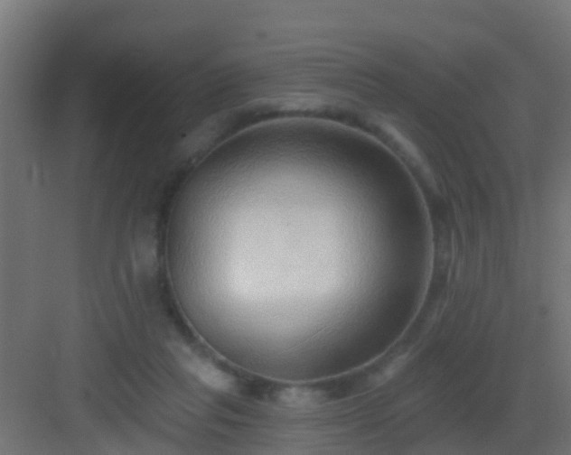 X0000082980261200702081816