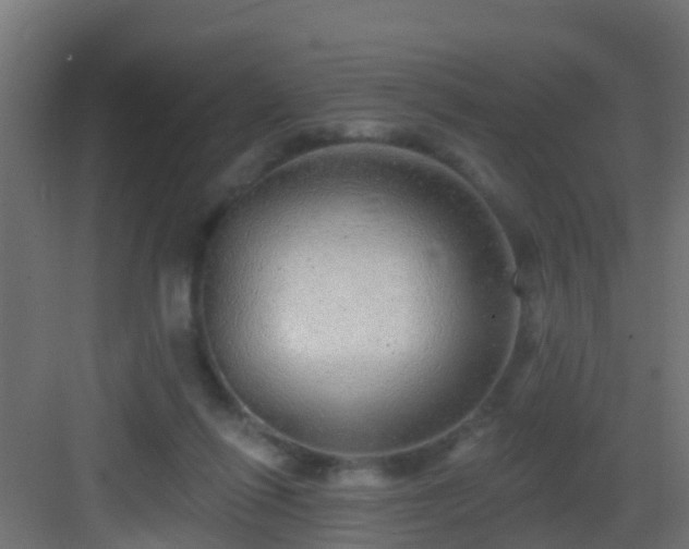 X0000082980262200702081816
