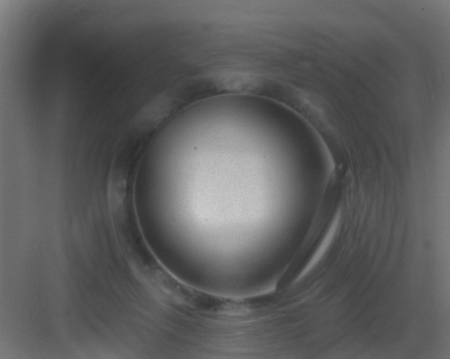 X0000082980263200702081816