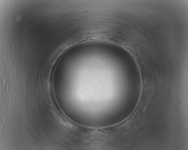 X0000082980290200702081815