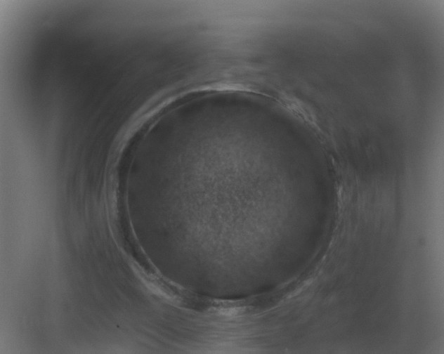 X0000082980295200702081815