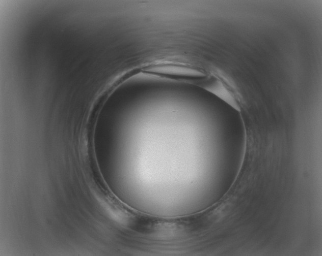 X0000082980298200702081815