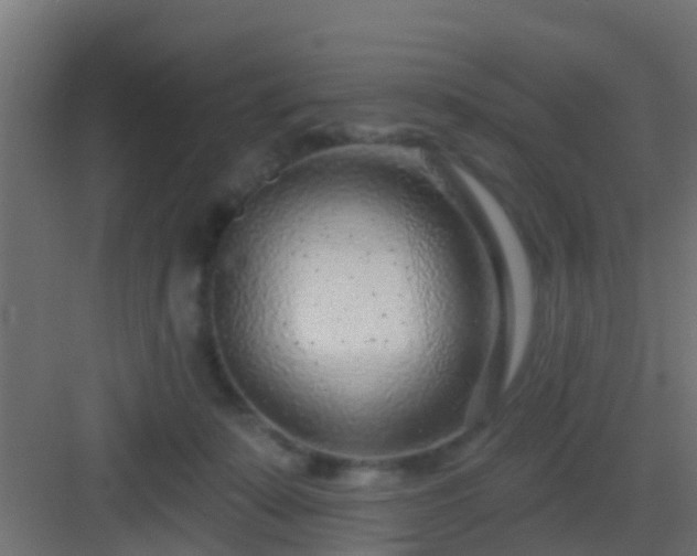 X0000082980319200702081815