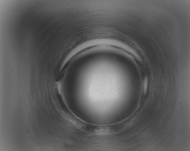 X0000082980362200702081814