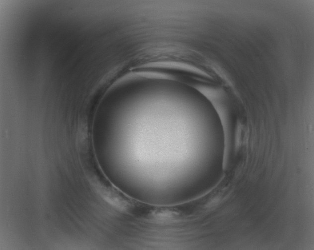 X0000082980407200702081813