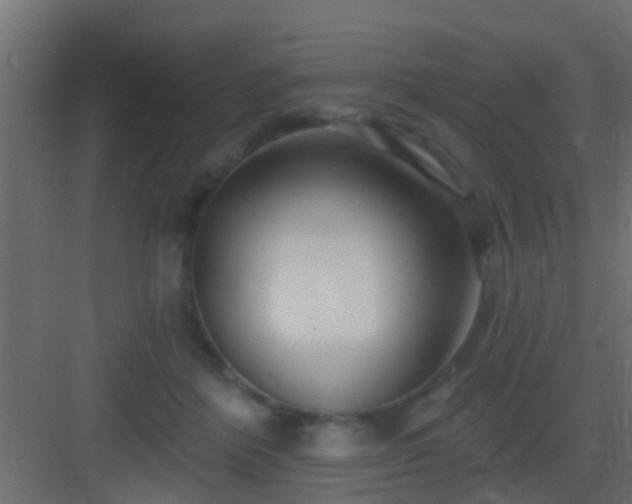 X0000082980412200702081813