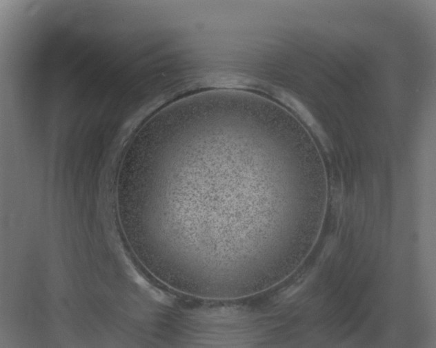 X0000082980433200702081812