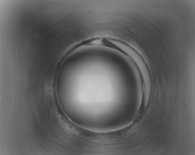 X0000082980434200702081812