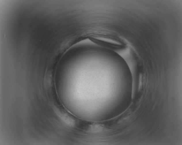 X0000082980451200702081812