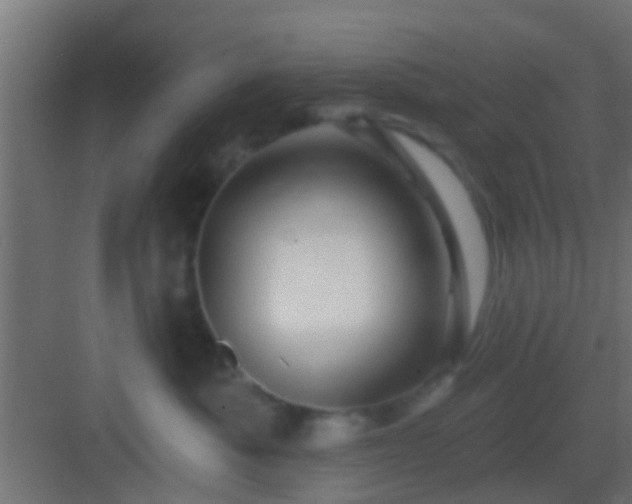 X0000082980525200702081811