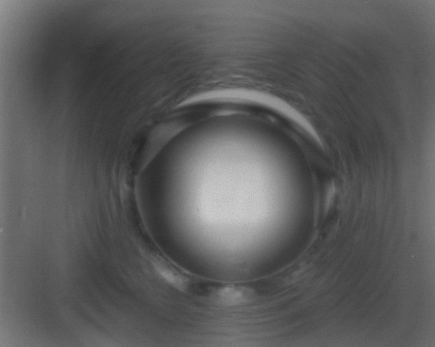 X0000082980566200702081811