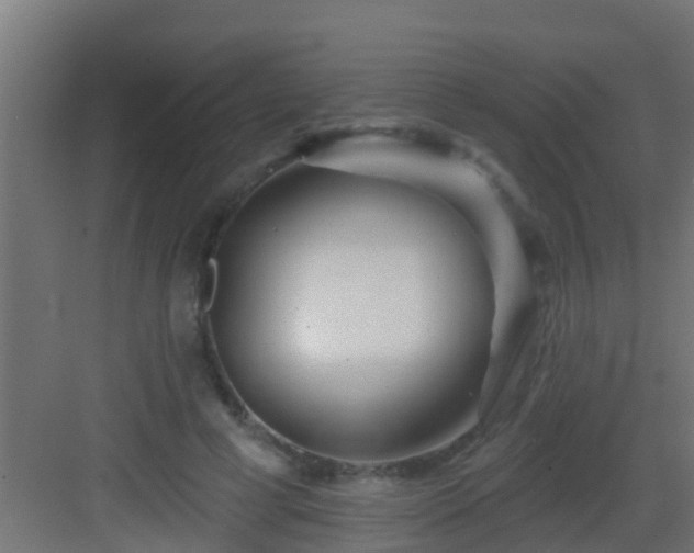 X0000082980593200702081810
