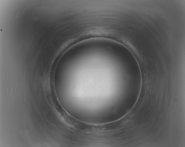 X0000082980626200702081809