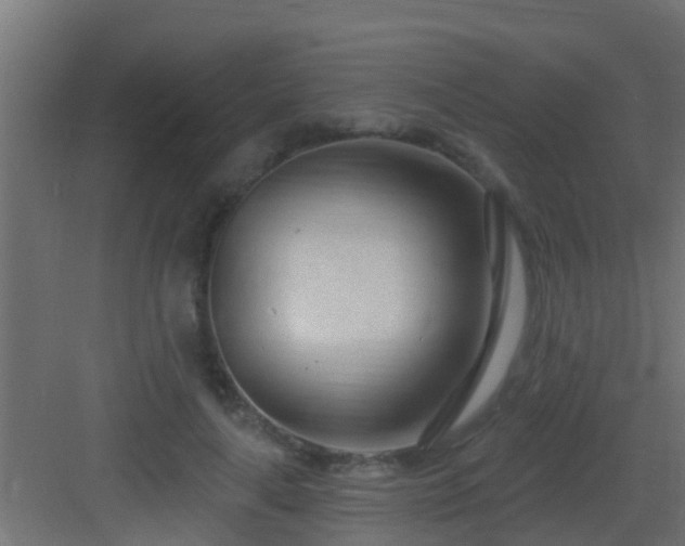 X0000082980643200702081809