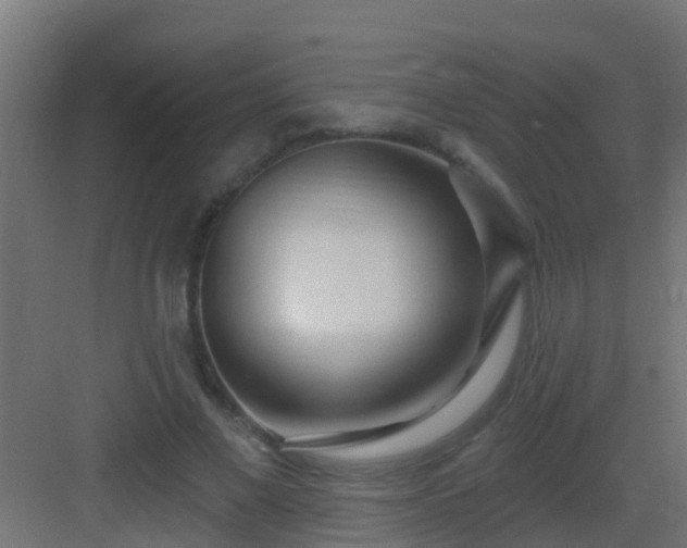 X0000082980685200702081808