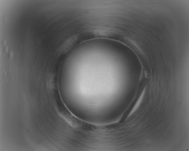 X0000082980738200702081807