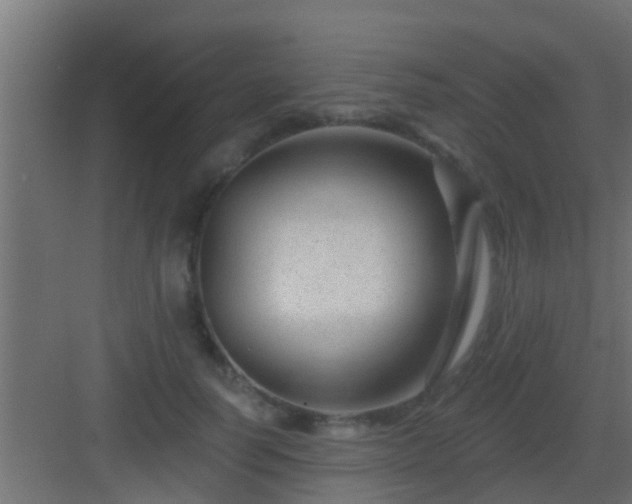 X0000082980746200702081807