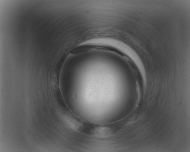 X0000082980748200702081807