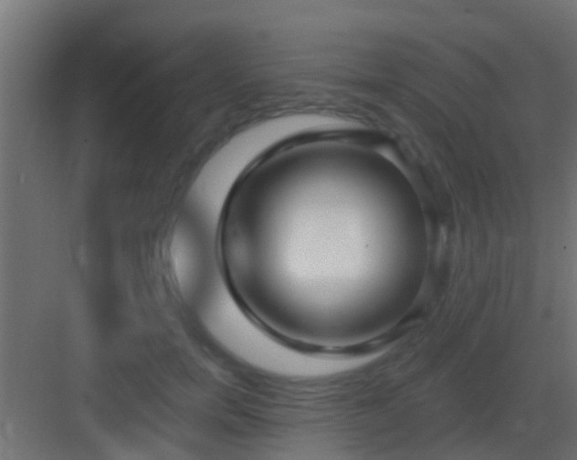 X0000082980750200702081807