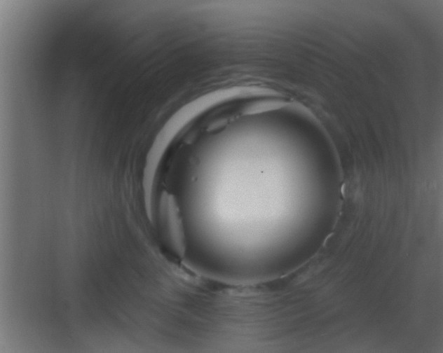 X0000082980763200702081808