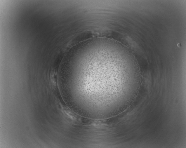 X0000082980770200702081807